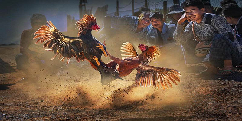 tienganh123 chơi bắn cá đổi thưởng