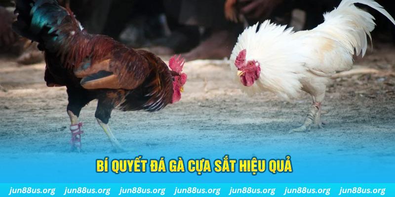 tienganh123 xin 1 slot là gì