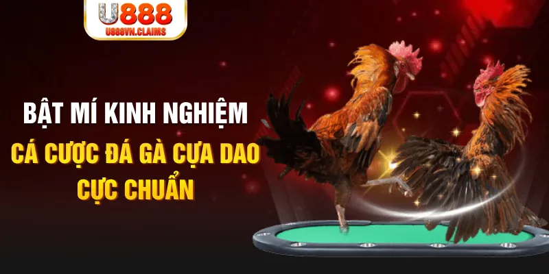tienganh123 tỷ lệ cá cược châu á là gì