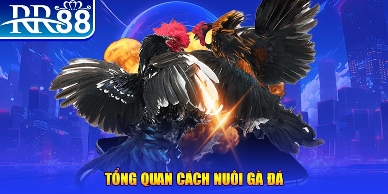 tienganh123 VA Điện Tử