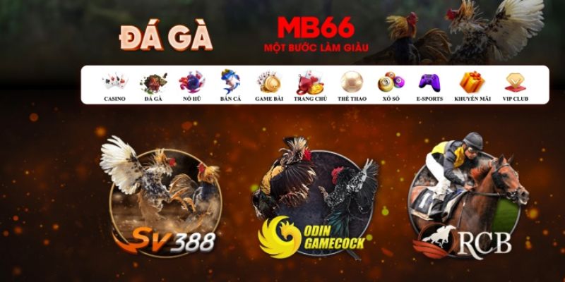 tienganh123 đăng nhập poker số 1