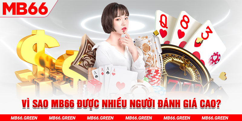 tienganh123 đá gà
