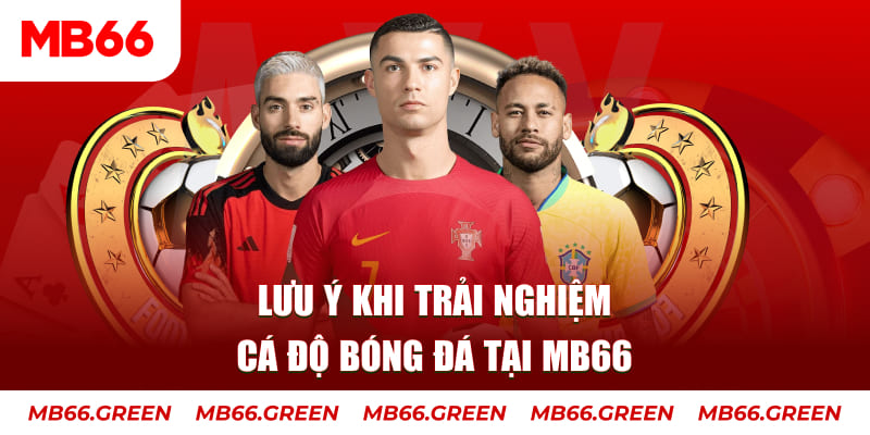 tienganh123 cá cược là gì