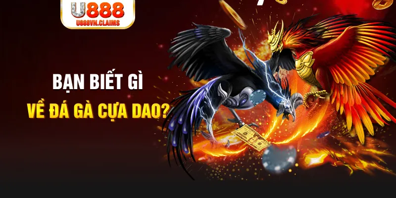 tienganh123 nổ hủ là gì