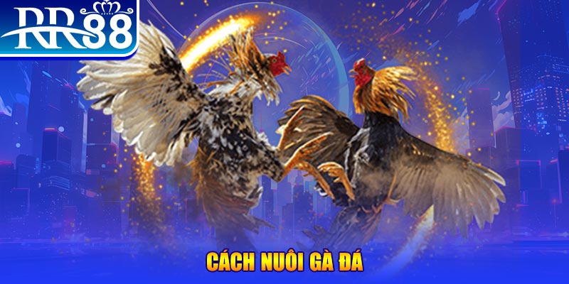 tienganh123 xổ số an giang