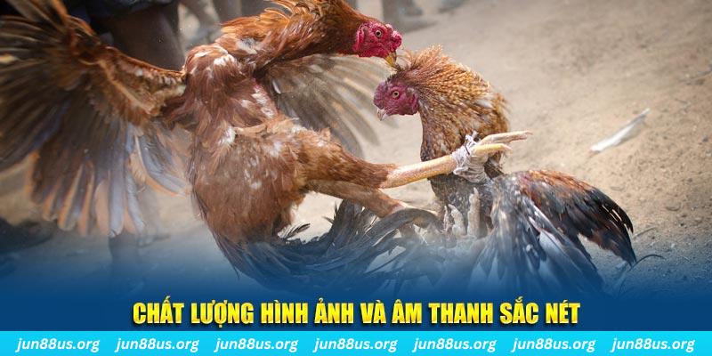 tienganh123 đăng nhập roulette live