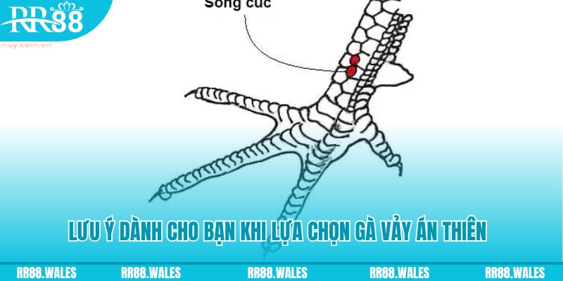 tienganh123 xổ số đồng nai