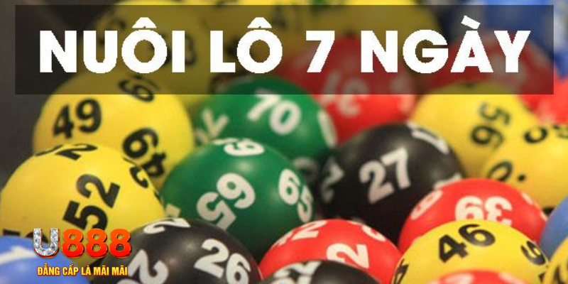 tienganh123 slot là j