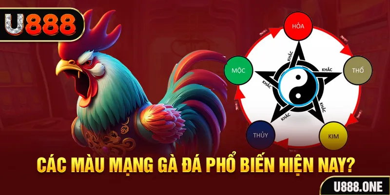 tienganh123 trực tiếp đá gà 88