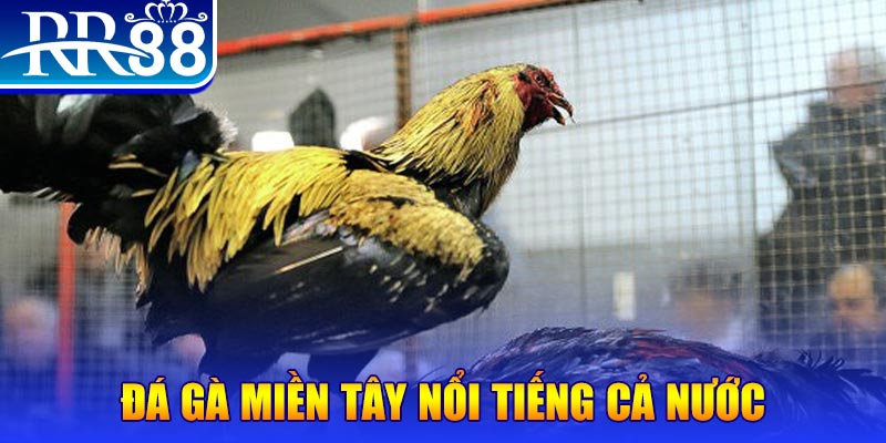 tienganh123 JILI Game Bài 3d