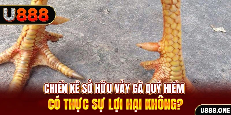 tienganh123 nohu .mx nổ hủ là gì