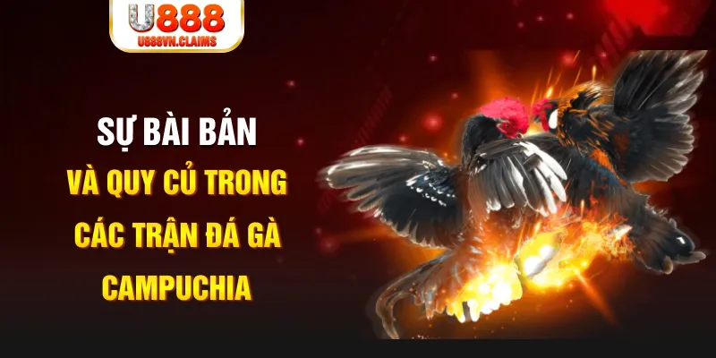 tienganh123 YGR Điện Tử