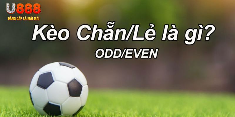 tienganh123 đăng nhập poker hôm nay