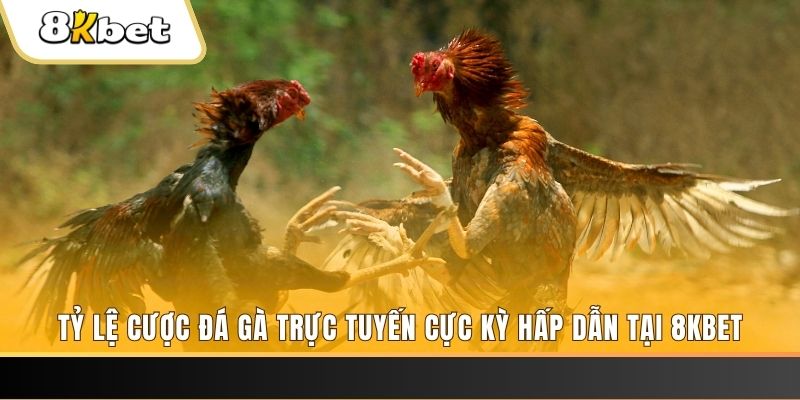 tienganh123 đăng nhập phỏm trực tiếp