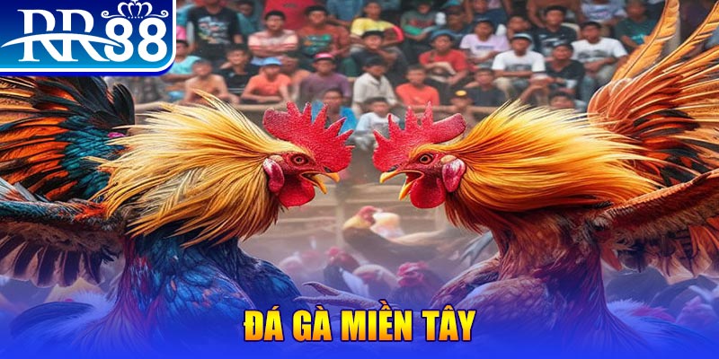 tienganh123 chơi slot là gì