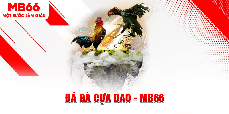 tienganh123 đá gà sv388 gold
